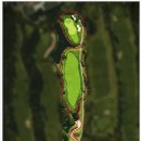 골프존카운티 천안 이미지