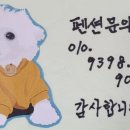 때깔뷰 이미지