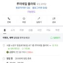 루미테일플라워 이미지