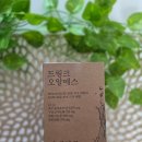 에스트랜스 | 담백하루 드링크 오알에스 수분충전제 가능한 전해질 음료