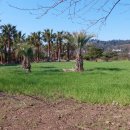 대평마을회관 이미지