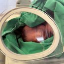 GS25 청주희망점 | 청주 모태안 여성병원 40대 고위험산모 제왕절개 수술 후기(주치의 박종철원장님)