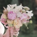 ♡₊⁺ 베리굿웨딩 고소미 플래너님 추천 후기 ⁺₊♡