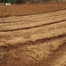 오공농장 이미지