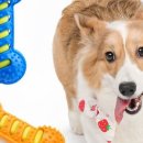 모니아(MONIA) 이미지