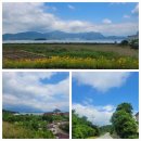 대창마을회관 이미지