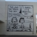 강아지 테마파크 | 제주도 가볼만한곳 테마파크 스누피가든 후기