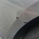 젤자동차공업사 | [추천] 기흥도색 기흥판금 기흥수리 빅모터스