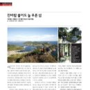 늘푸른미디어 이미지