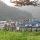 태백순두부 이미지