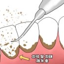 바로세움치과의원 이미지
