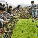 이명근 농장 이미지