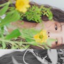 루스헤어 이미지