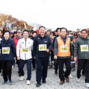 파주 평화의 발 경기일보