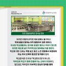 한들초등학교 이미지