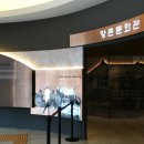 향촌문화관 티스토리