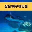 잠실 롯데월드 아쿠아리움 입장료 할인 영업시간 7세 수의사체험 물고기밥주기체험 이용꿀팁