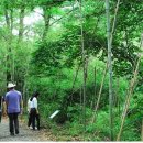 청백리길 이미지