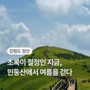 민둥산 등산코스 여름 등산 후기ㅣ초보자도 가능한 강원도 정선 초록 맛집