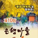 제10회 은행마을 단풍 축제 네이버블로그