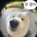 사가정시장 이미지