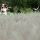 함평공설운동장 이미지