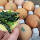 귀래농장 이미지