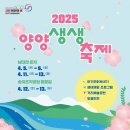 기사문항(회센터) | 쉼과 여행이 만나는 곳, 강원도 양양 감성 여행 코스 총정리