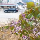 펜션밀물떼 이미지