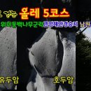 위미동백군락 이미지