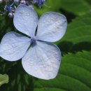 동충주IC주유소 이미지