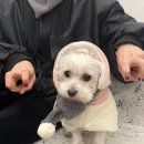 블란서 커피