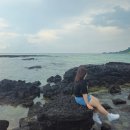 매 순간이 행복했던 8월의 제주🍊✈️