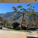 스테이 별 이미지