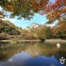 장성-09 이미지