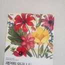 색연필일러스트&보타니컬아트 이미지
