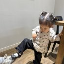 흥도많은고양이