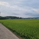 함안등기소 이미지