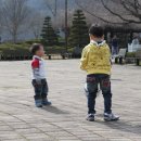 열린행정사사무소 이미지