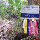 원산삼거리 ~ 금산삼거리 이미지