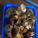 둘레길펜션 이미지