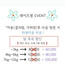 데이즈몽애견샵