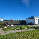 우도바당별 이미지