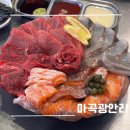 마곡 횟집 숙성회 맛집인 마곡광안리
