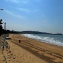 개미들솔향기야영장 | 충남 서해 바다 가볼 만한 곳 태안의 해수욕장을 소개합니다. (삼봉해수욕장, 만리포해수욕장, 몽산포...