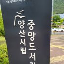 6월3주활동ㅡ양산도서관🏜"모래야놀자"🏖 이미지