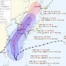 2022년 태풍 힌남노,6일 부산상륙...그놈‘사람도 바위도 날리는 힘’ 이미지