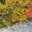 생명의전화종합사회복지관 | 생명의전화종합사회복지관, 청주서원정신건강복지센터, 마포정신장애인자립생활센터