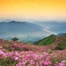 지리산 이미지