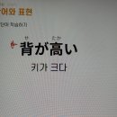 가벼운학습지(마이라이트) 일본어, 12주차 - (2)